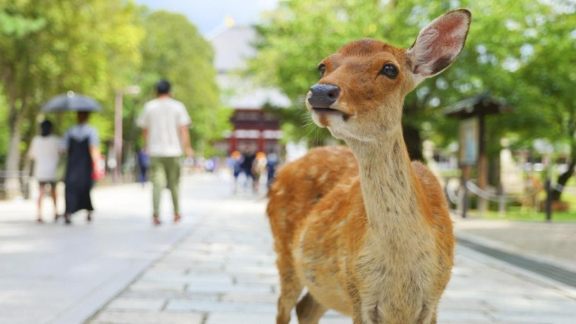 嵐 難波西 民宿 Bed And Breakfast 大阪市 エクステリア 写真